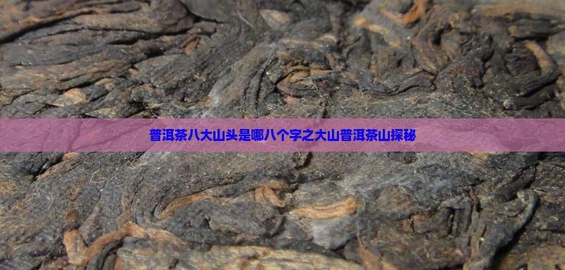 普洱茶八大山头是哪八个字之大山普洱茶山探秘