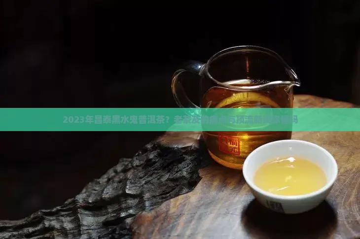 2023年昌泰黑水鬼普洱茶？老茶友的痛点与顶流新词你懂吗