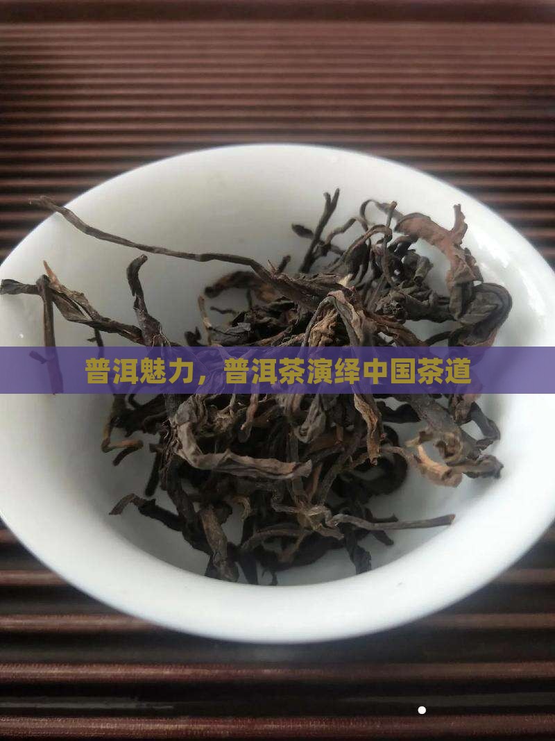 普洱魅力，普洱茶演绎中国茶道