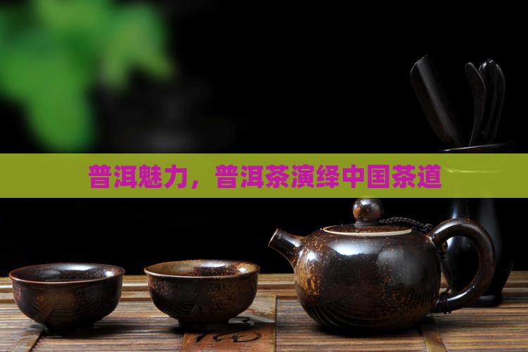 普洱魅力，普洱茶演绎中国茶道