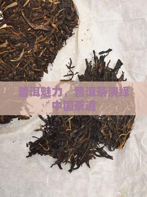 普洱魅力，普洱茶演绎中国茶道