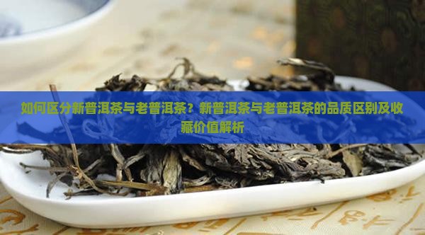 如何区分新普洱茶与老普洱茶？新普洱茶与老普洱茶的品质区别及收藏价值解析