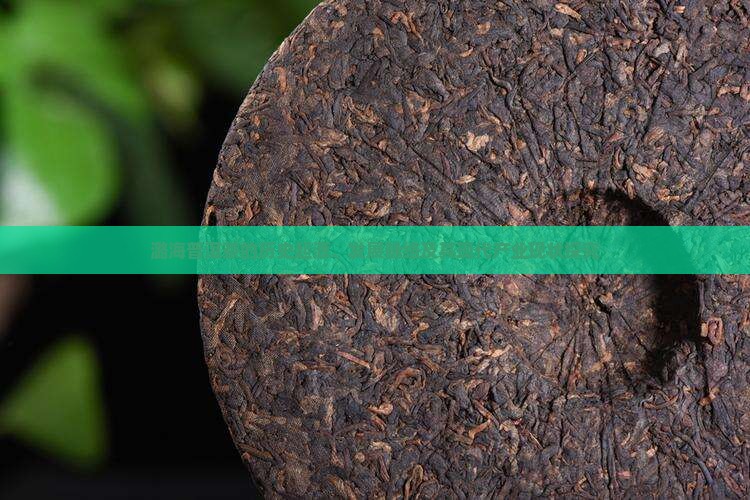 潞海普洱茶的历史起源、发展脉络及其现代产业现状探究