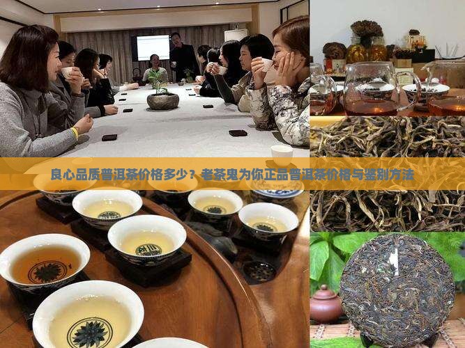 良心品质普洱茶价格多少？老茶鬼为你正品普洱茶价格与鉴别方法