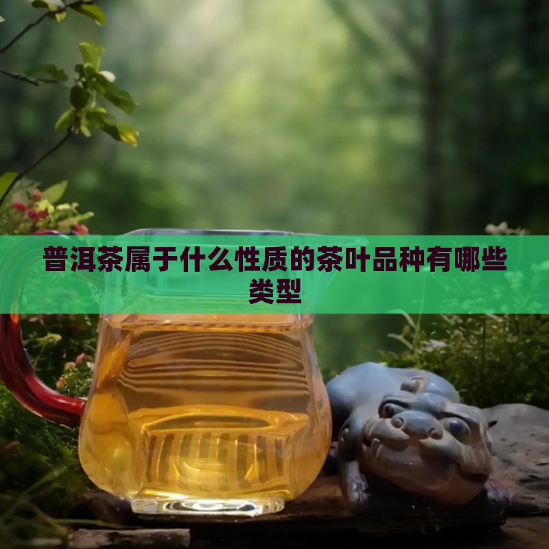 普洱茶属于什么性质的茶叶品种有哪些类型