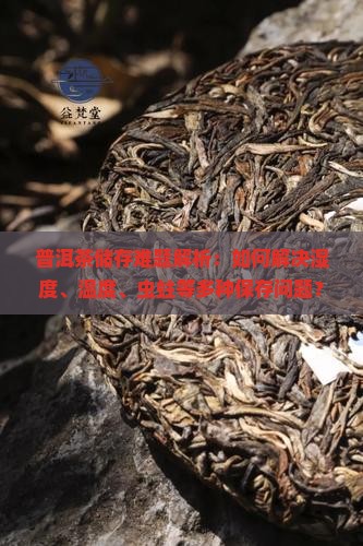 普洱茶储存难题解析：如何解决湿度、温度、虫蛀等多种保存问题？