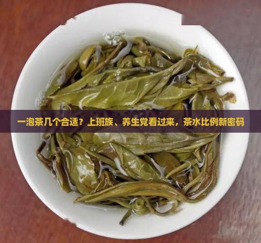 一泡茶几个合适？上班族、养生党看过来，茶水比例新密码