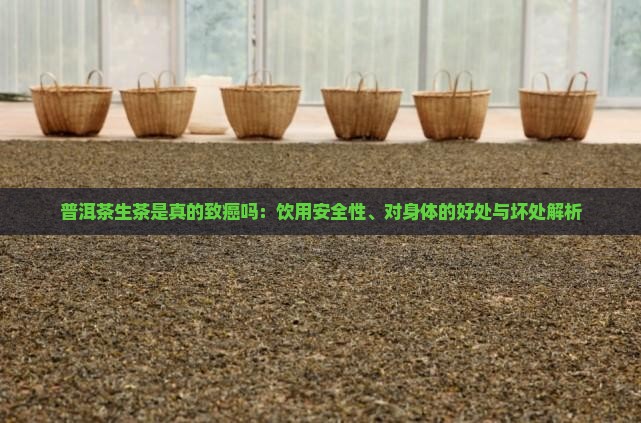 普洱茶生茶是真的致癌吗：饮用安全性、对身体的好处与坏处解析
