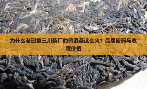 为什么老班章三川茶厂的普洱茶这么火？品质密码与收藏价值