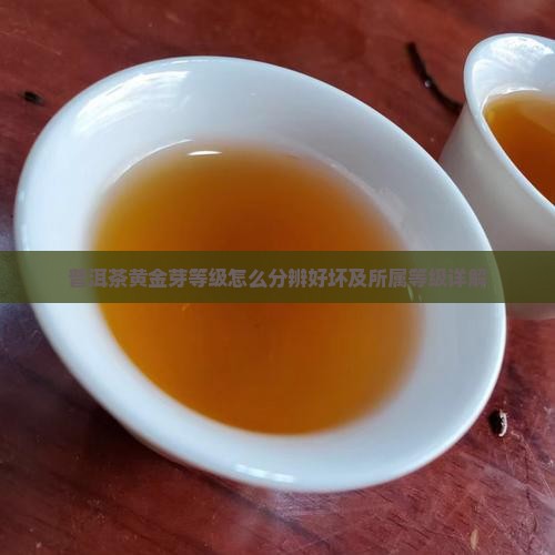 普洱茶黄金芽等级怎么分辨好坏及所属等级详解