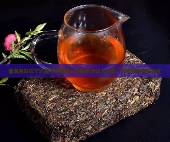 普洱茶发霉了还能不能再喝？霉味刺鼻让人焦虑，解霉黑科技来帮忙
