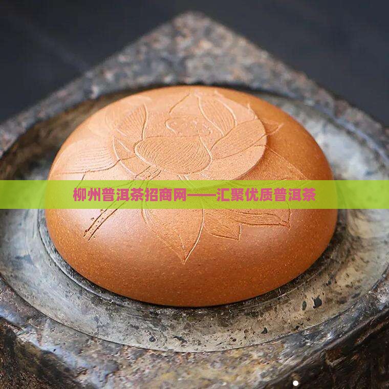 柳州普洱茶招商网——汇聚优质普洱茶