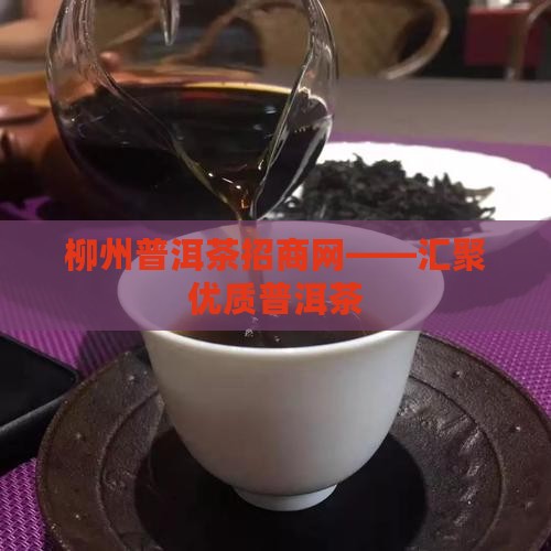 柳州普洱茶招商网——汇聚优质普洱茶