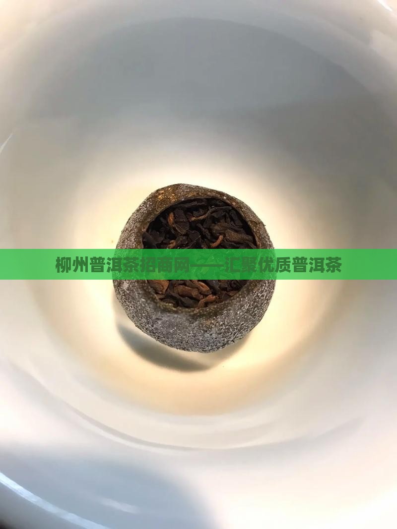 柳州普洱茶招商网——汇聚优质普洱茶