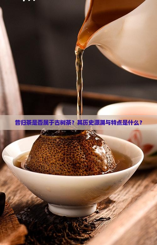 昔归茶是否属于古树茶？其历史源渊与特点是什么？