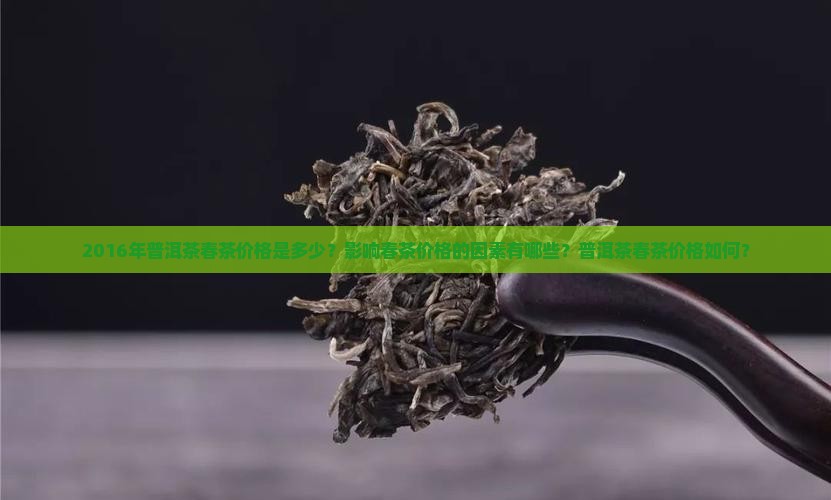 2016年普洱茶春茶价格是多少？影响春茶价格的因素有哪些？普洱茶春茶价格如何？