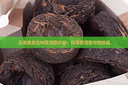 云南易武古树普洱茶价格：探寻普洱茶中的珍品