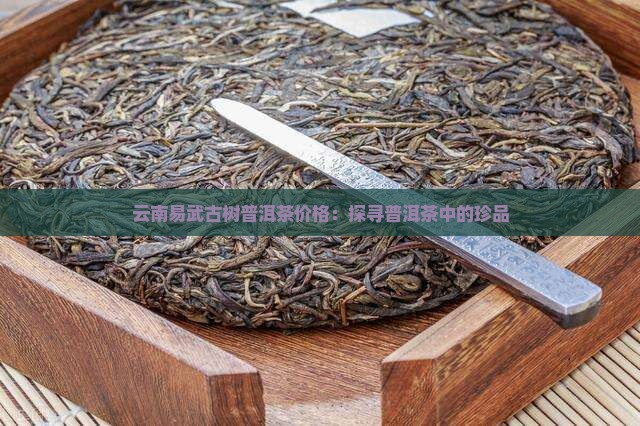 云南易武古树普洱茶价格：探寻普洱茶中的珍品
