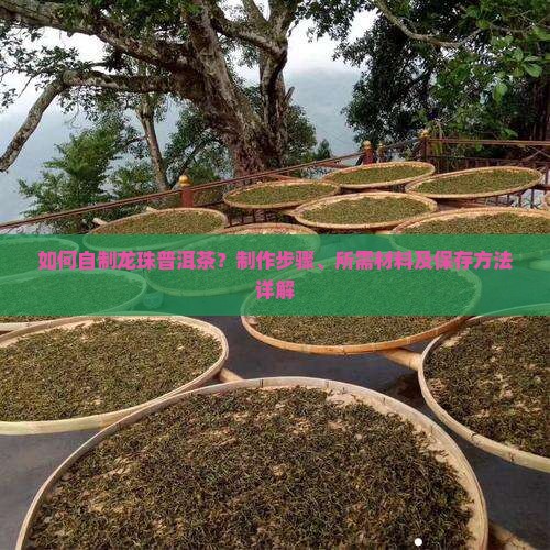 如何自制龙珠普洱茶？制作步骤、所需材料及保存方法详解