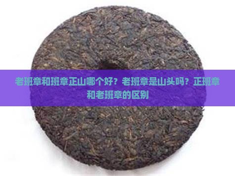 老班章和班章正山哪个好？老班章是山头吗？正班章和老班章的区别