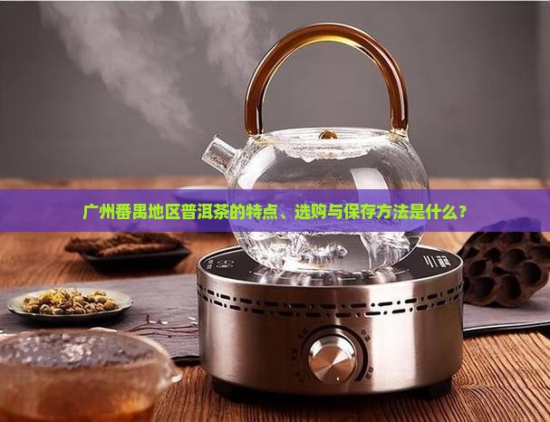 广州番禺地区普洱茶的特点、选购与保存方法是什么？