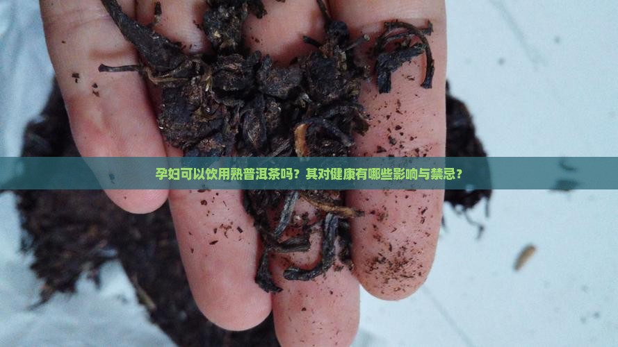 孕妇可以饮用熟普洱茶吗？其对健康有哪些影响与禁忌？