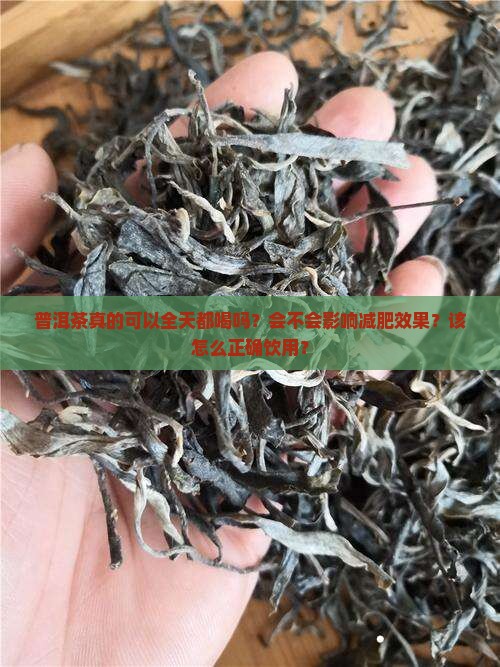 普洱茶真的可以全天都喝吗?会不会影响减肥效果?该怎么正确饮用? 普洱茶真的可以全天都喝吗?会不会影响减肥效果?该怎么正确饮用?