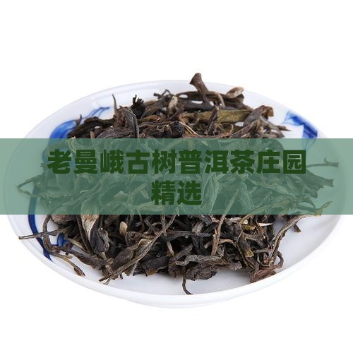 老曼峨古树普洱茶庄园精选