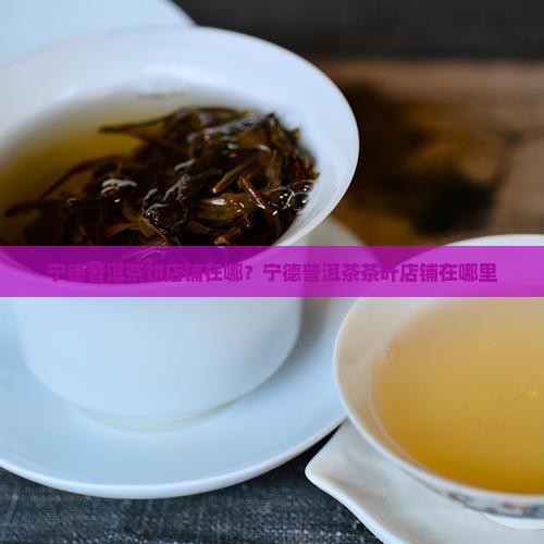 宁德普洱茶饼店铺在哪？宁德普洱茶茶叶店铺在哪里