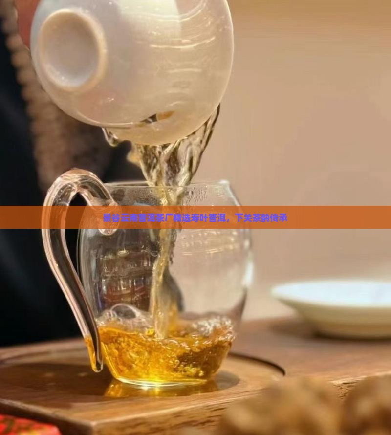 景谷云南普洱茶厂精选寿叶普洱，下关茶韵传承