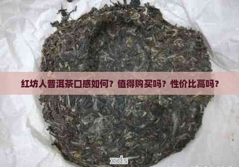 红坊人普洱茶口感如何？值得购买吗？性价比高吗？