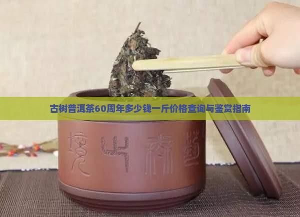 古树普洱茶60周年多少钱一斤价格查询与鉴赏指南