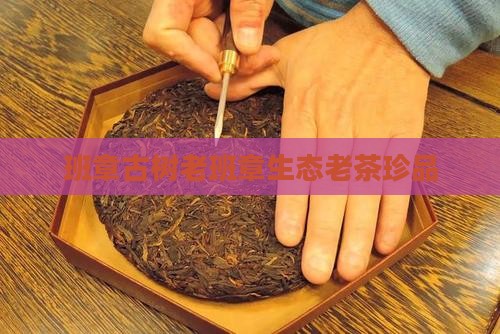 班章古树老班章生态老茶珍品