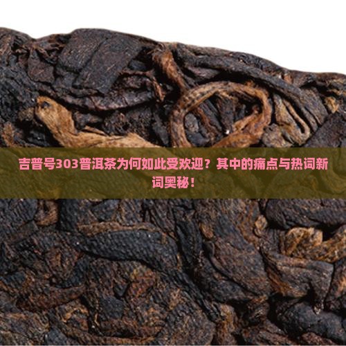 吉普号303普洱茶为何如此受欢迎？其中的痛点与热词新词奥秘！