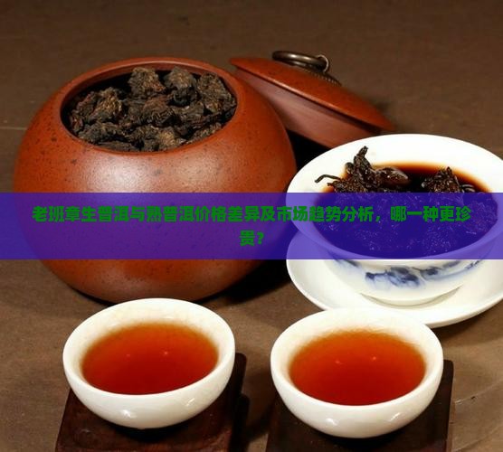 老班章生普洱与熟普洱价格差异及市场趋势分析，哪一种更珍贵？