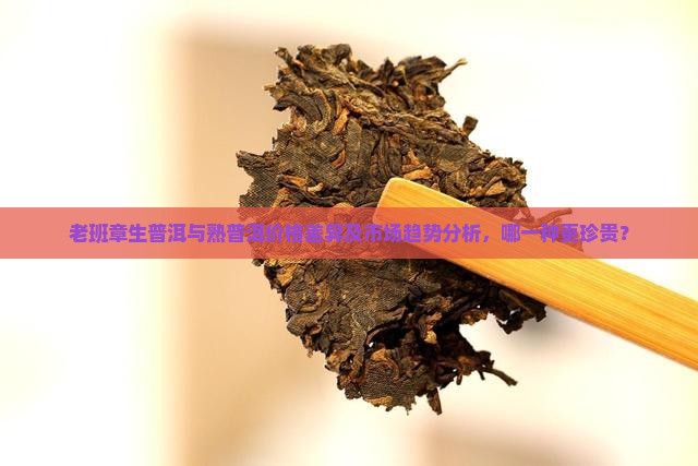 老班章生普洱与熟普洱价格差异及市场趋势分析，哪一种更珍贵？
