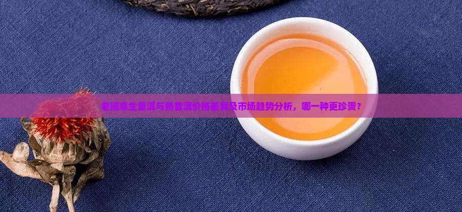 老班章生普洱与熟普洱价格差异及市场趋势分析，哪一种更珍贵？