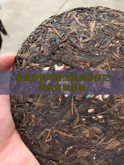 普洱茶饼与普洱散茶单饼之间的区别解析