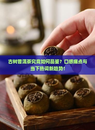 古树普洱茶究竟如何品鉴？口感痛点与当下热词新趋势！