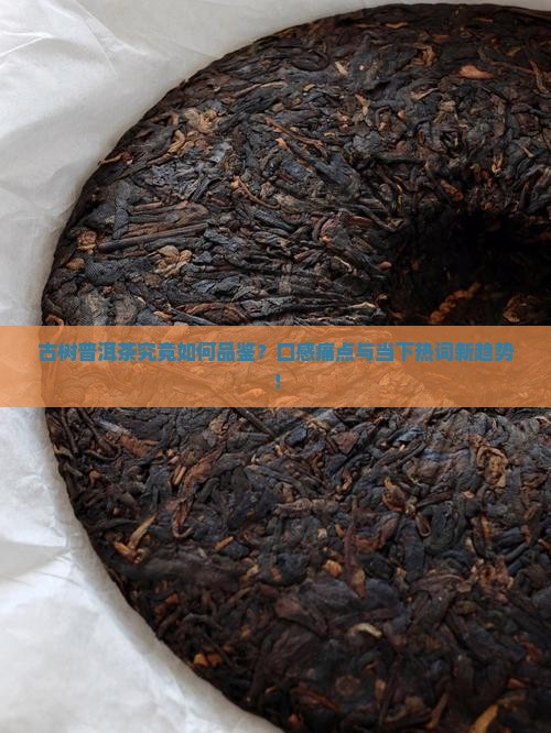 古树普洱茶究竟如何品鉴？口感痛点与当下热词新趋势！
