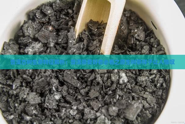普洱古树生茶特征解析：普洱茶爱好者必看之原生树茶样子让人惊叹