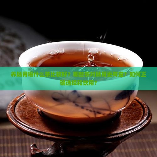 养肠胃喝什么茶比较好？哪些茶对肠胃更有益？如何正确选择和饮用？