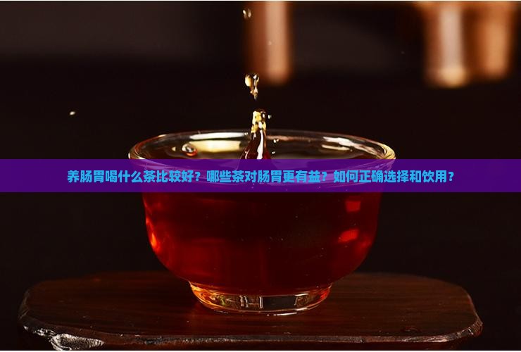 养肠胃喝什么茶比较好？哪些茶对肠胃更有益？如何正确选择和饮用？