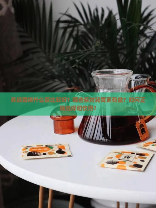 养肠胃喝什么茶比较好？哪些茶对肠胃更有益？如何正确选择和饮用？