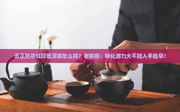 五正熟茶红印普洱茶怎么样？老茶客：转化潜力大不如入手趁早！