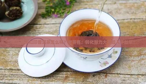 五正熟茶红印普洱茶怎么样？老茶客：转化潜力大不如入手趁早！
