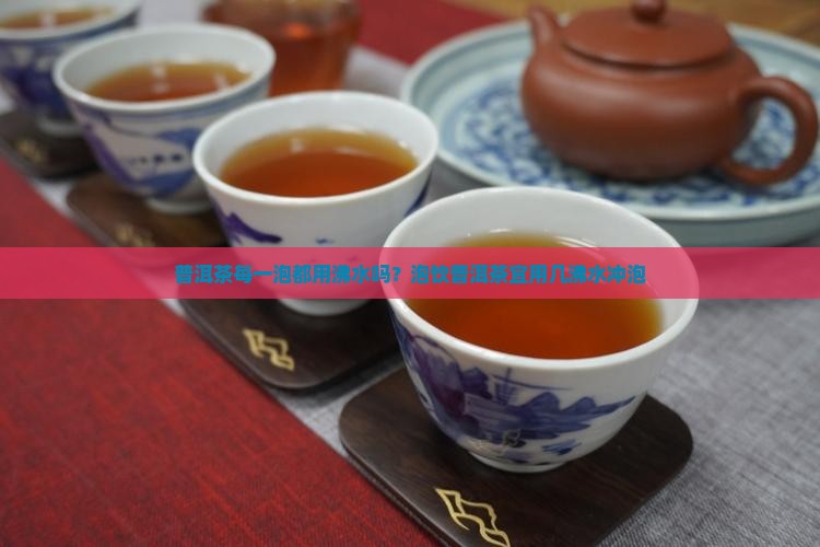 普洱茶每一泡都用沸水吗？泡饮普洱茶宜用几沸水冲泡