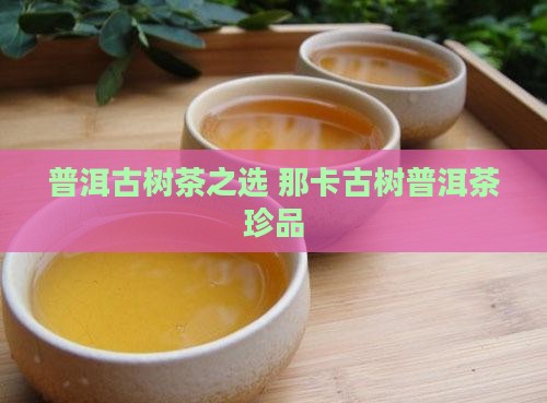 普洱古树茶之选 那卡古树普洱茶珍品