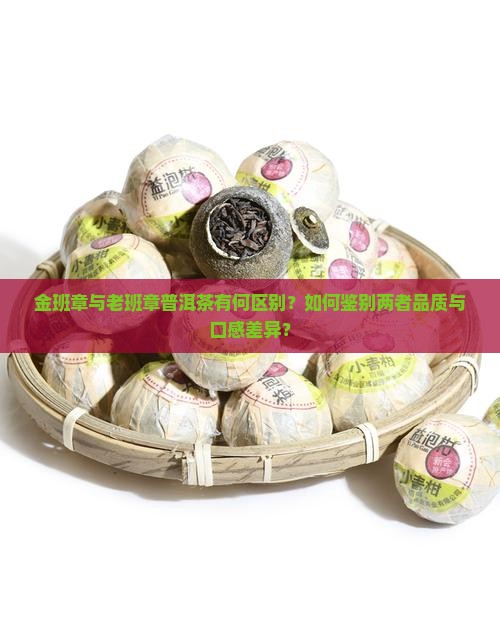 金班章与老班章普洱茶有何区别？如何鉴别两者品质与口感差异？