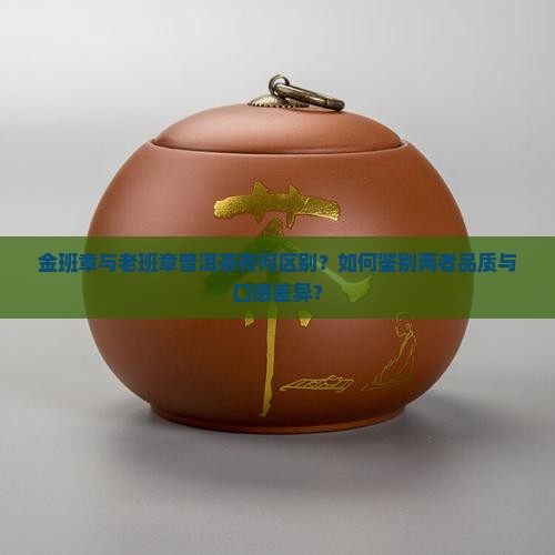 金班章与老班章普洱茶有何区别？如何鉴别两者品质与口感差异？